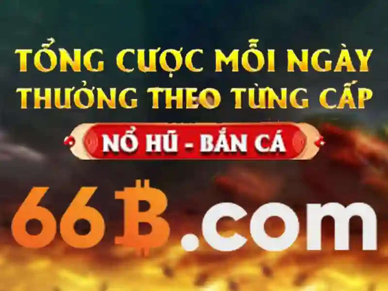 Điều Khoản Sử Dụng 66B