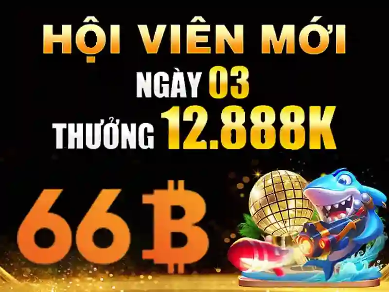 HỖ TRỢ 66B