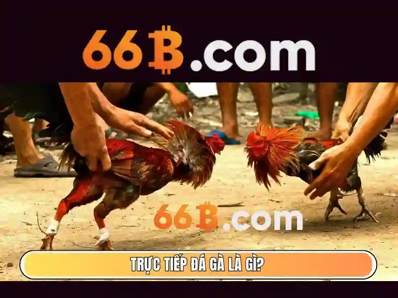 Trải Nghiệm 66B