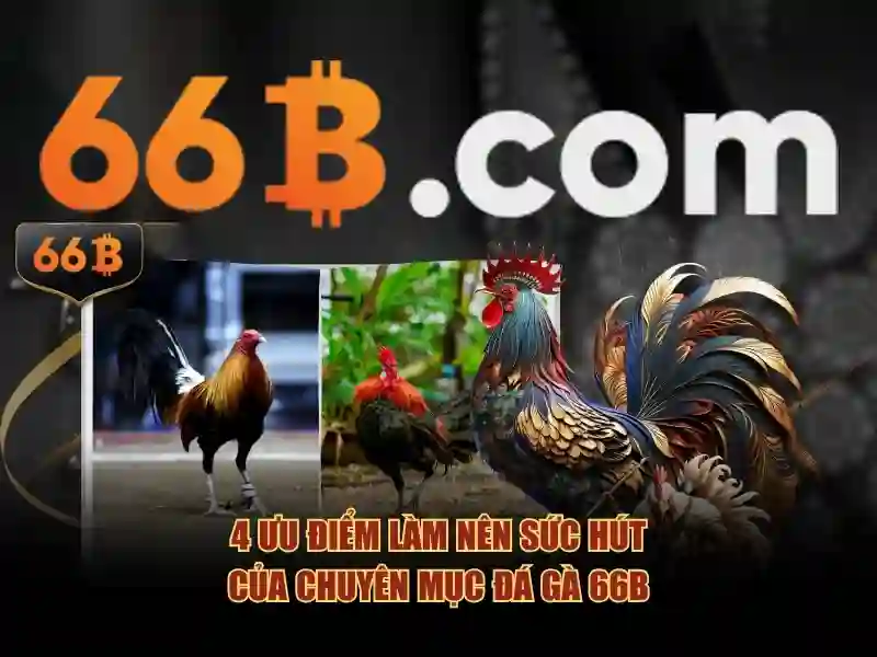 Giới Thiệu Về 66B