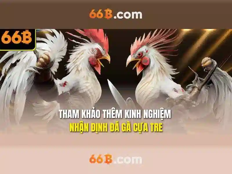 66B – Truy Cập Trang Chủ 66B Chính Thức Không Bị Chặn 2026