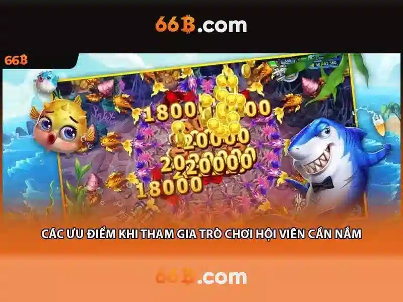 Ưu Đãi 66B