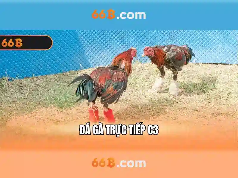 đăng ký 66b