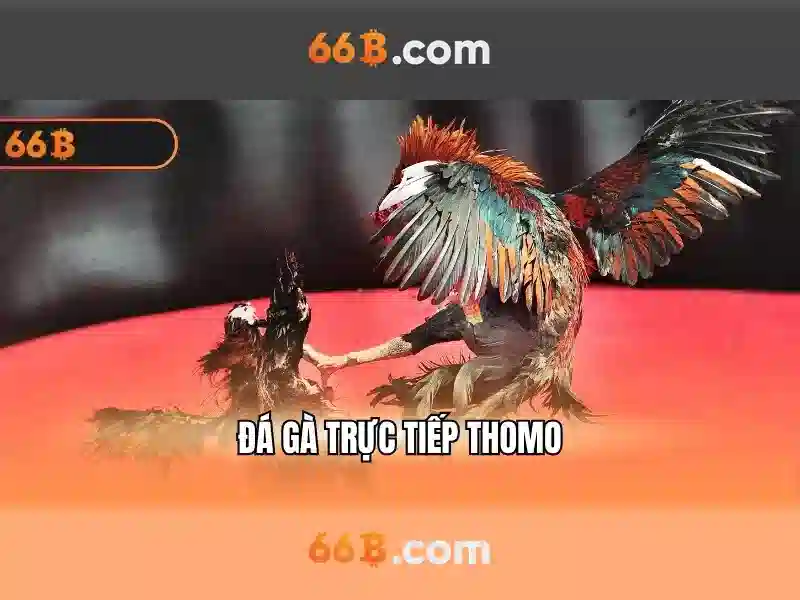 Ưu Điểm Nổi Bật Của 66B