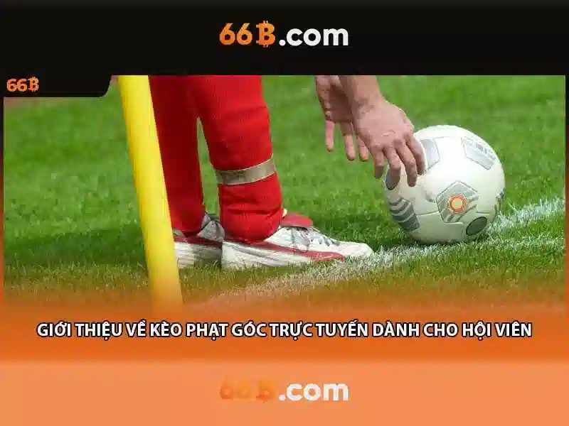 Ưu Điểm Của 66B