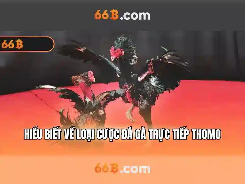 Trang Chủ 66B