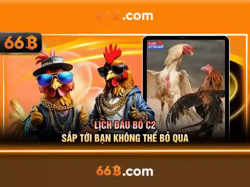 Trải nghiệm Slot 66B mới nhất