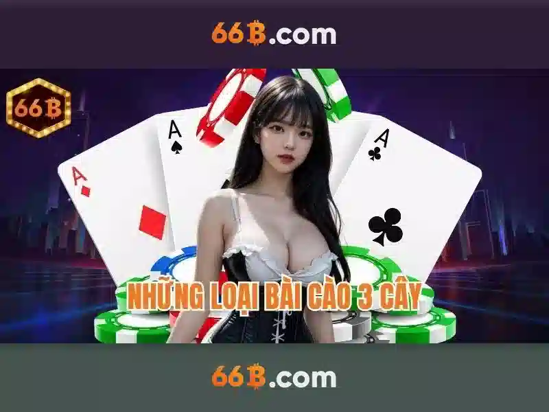Đặc Điểm Nổi Bật Của 66B