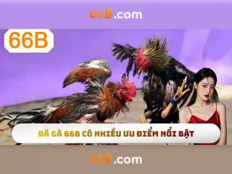 66B Mới Nhất – Hướng Dẫn Đăng Ký Tài Khoản 66B Hiệu Quả 2026