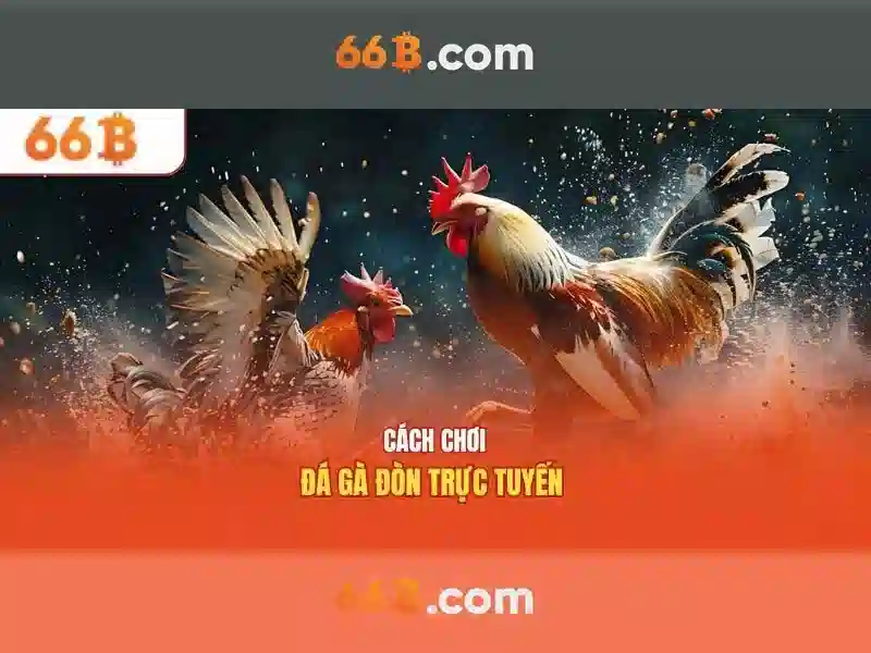 Giới Thiệu Về 66B