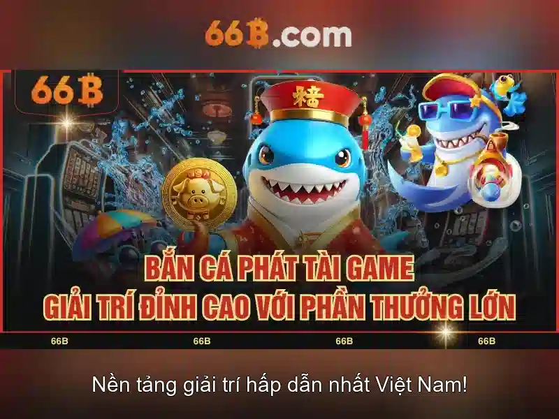 thể thao 66B