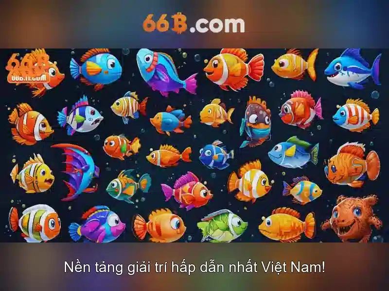 Quyền và nghĩa vụ người chơi 66B