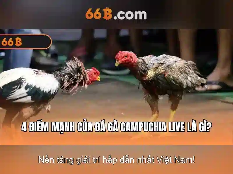 Quy Trình Đăng Nhập 66b Login