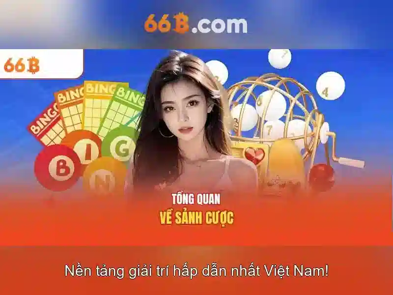 Hướng Dẫn Sử Dụng Code 66B