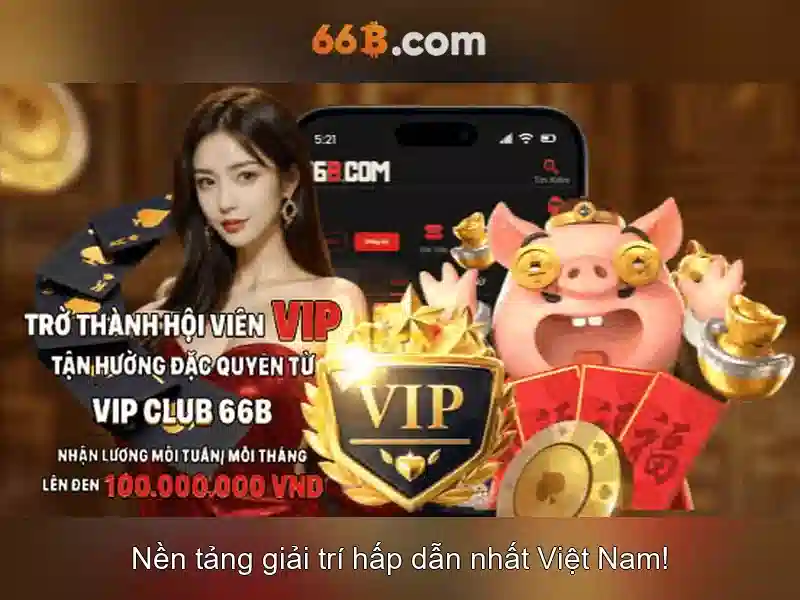 66B ưu điểm nổi bật
