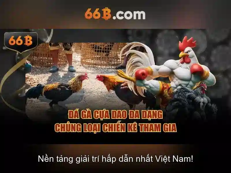 đăng ký 66B