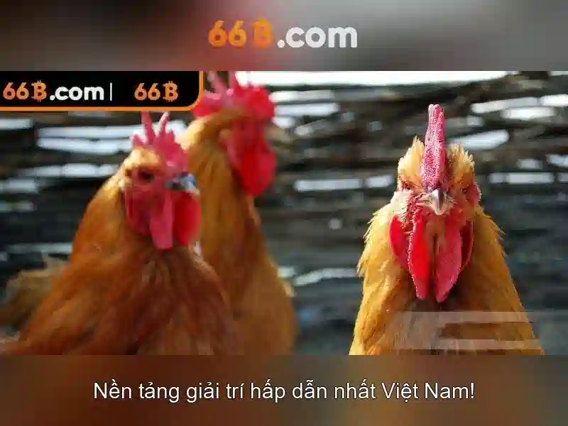 Trải nghiệm đỉnh cao