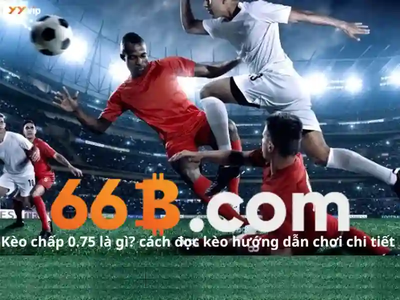 Quy Định Miễn Trừ Trách Nhiệm 66B