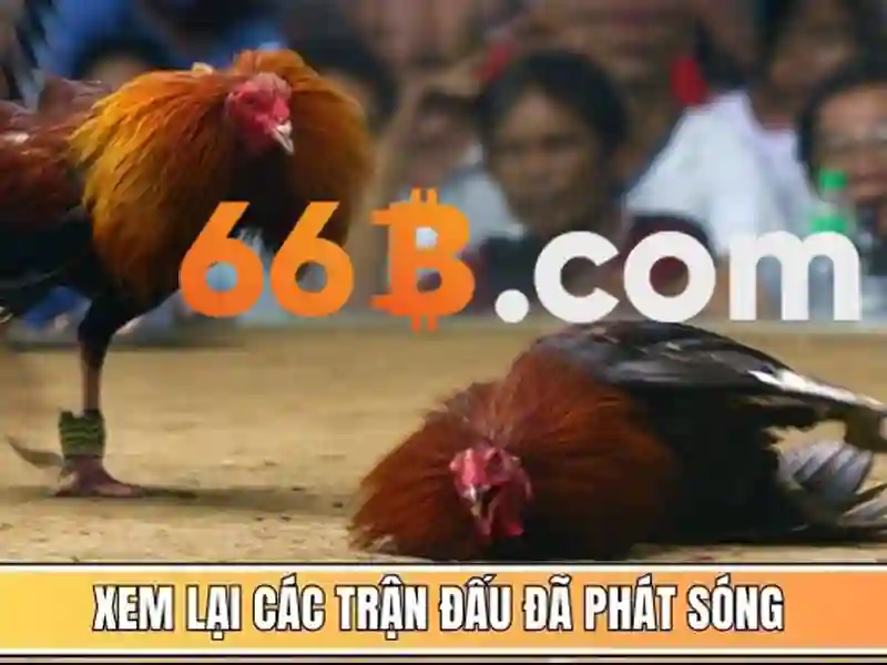 TÍNH NĂNG NỔ HŨ 66B
