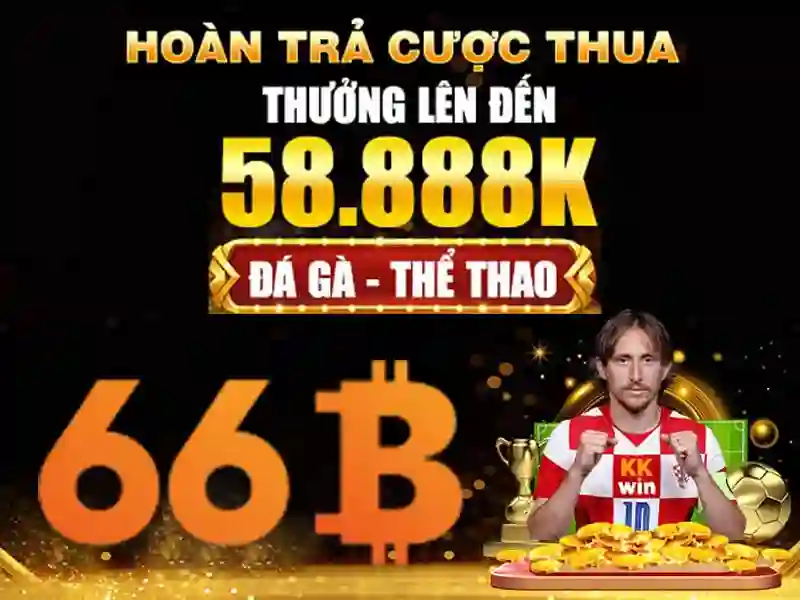 ưu đãi 66b